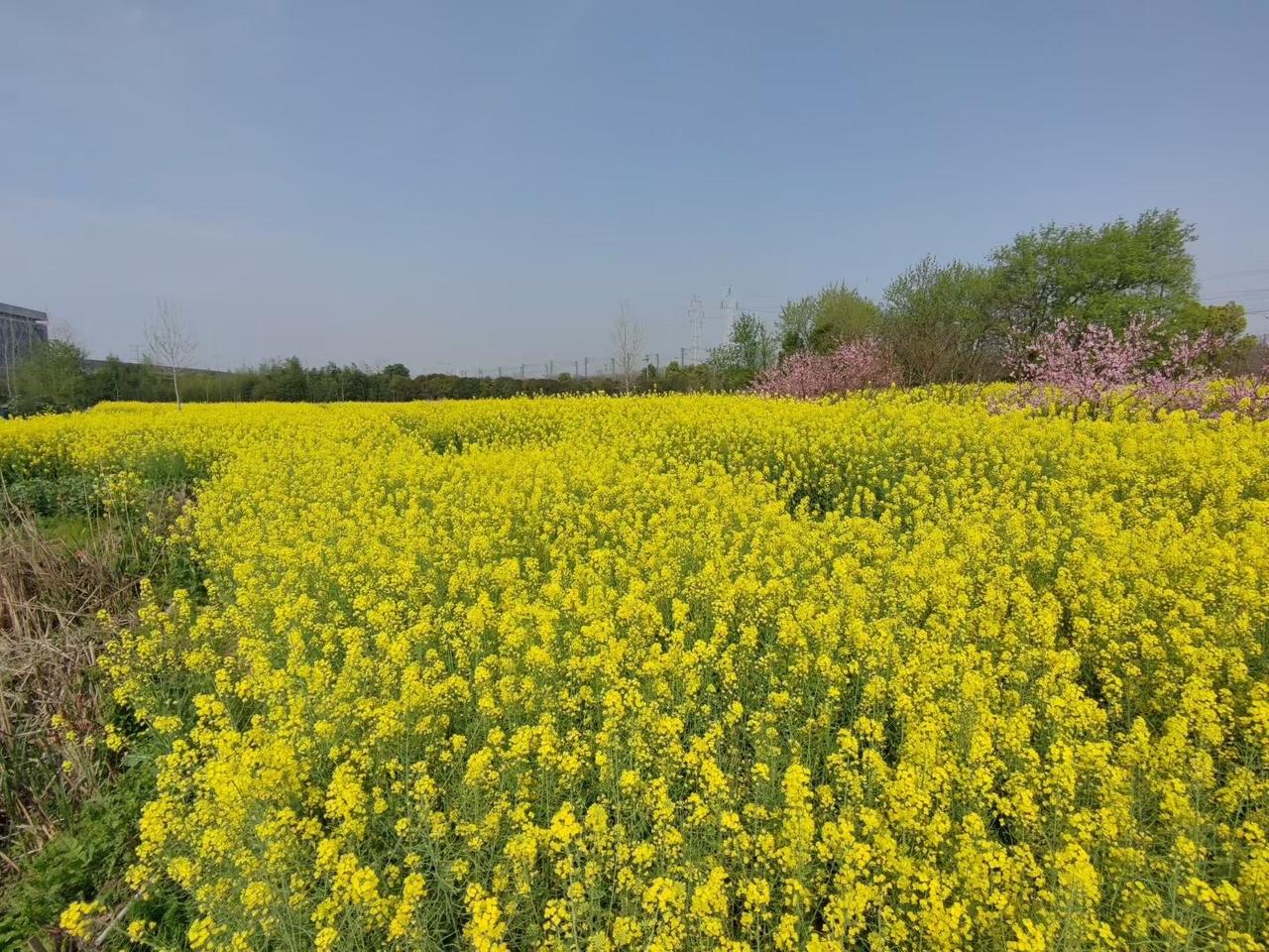 大自然的美无处不在随手一拍都是美景 随手拍大自然的诗意