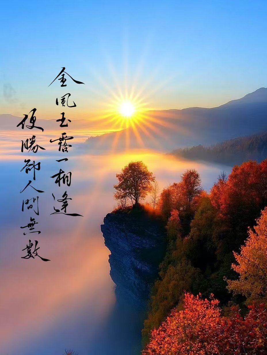 把柴米油盐过成诗把日常琐碎写成词让每一个平凡的日子都闪着亮泛着光，透着暖 