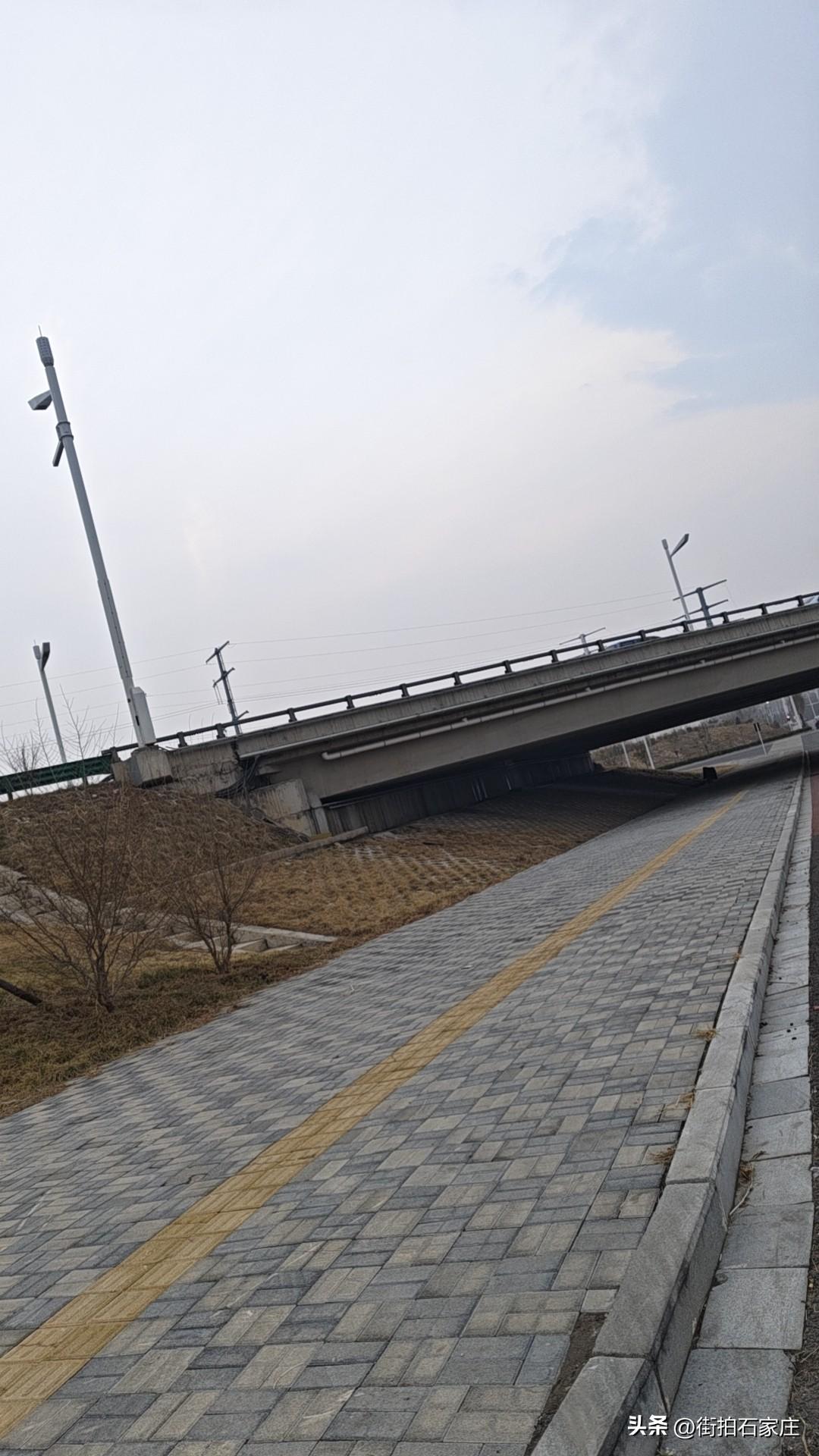 有网友吐槽，草莓农药多，最好少吃！
我觉得河北草莓很健康。
我以前在老家种过草莓