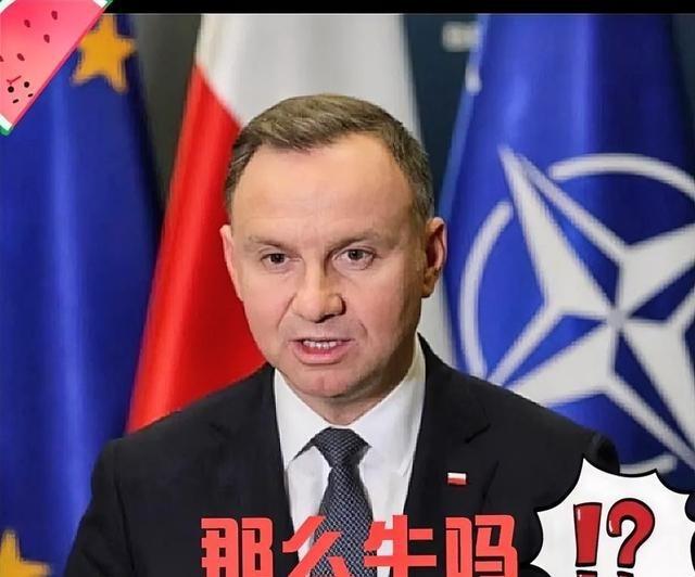 波兰突然宣布了波兰表示：明年波兰的军费目标是占GDP的5%！要知道现在波兰的军费