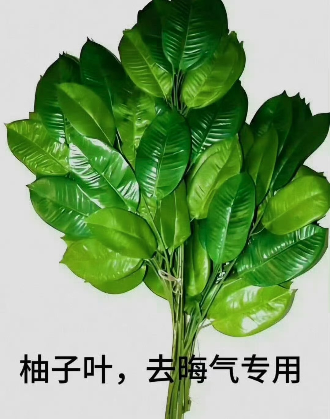 看出来了啊！pf的人都来看刘宇宁 的新剧《铁证》，看看高原怎么用“铁证”打脸pf
