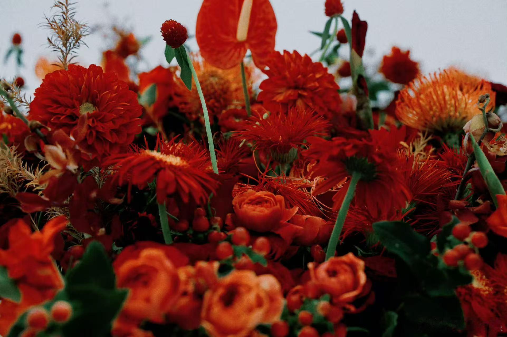 李沁VOGUE盛典出发图李沁出发图是一片花李沁出发图是一片花，好看，[哇][哇]