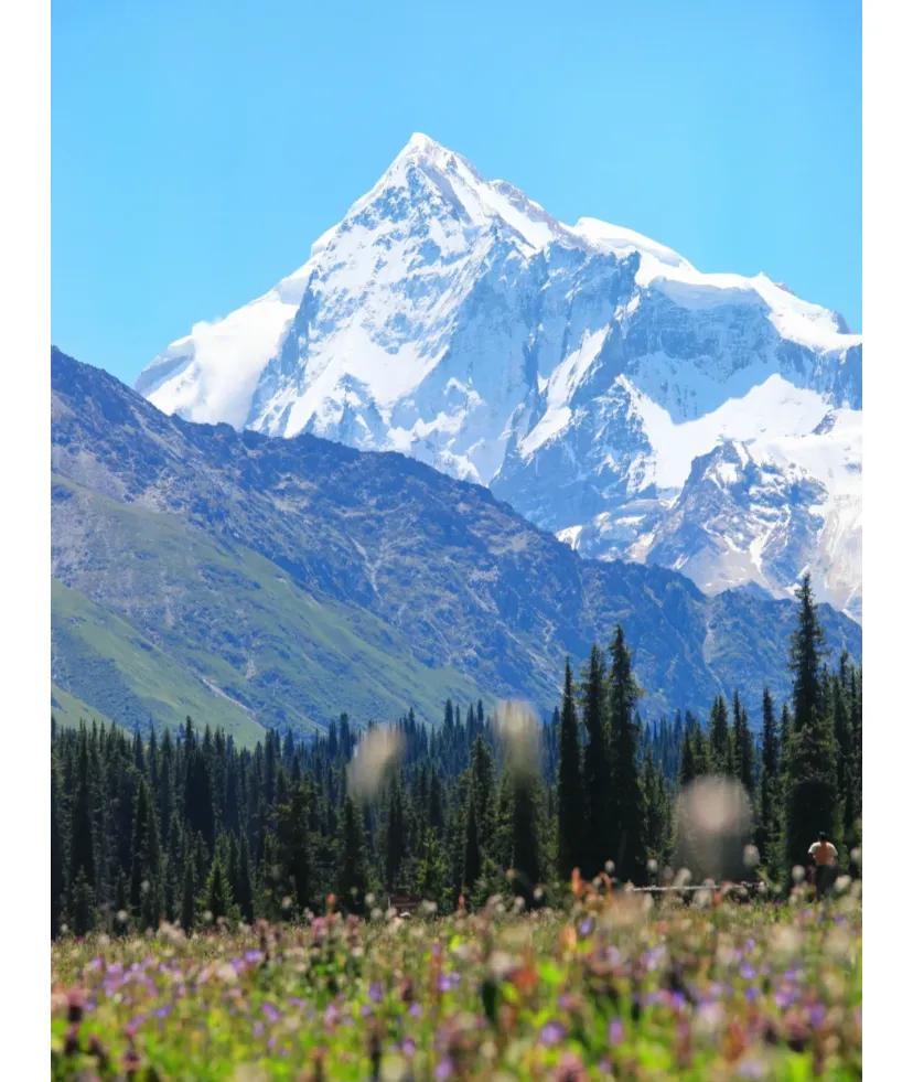 伊犁河谷的四个草原真实感受
昨天结束了伊犁河谷的环线回到乌鲁木齐。
去了夏塔，喀