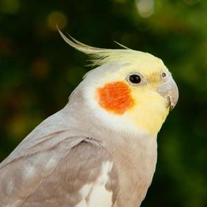 灵犀趣墨坊