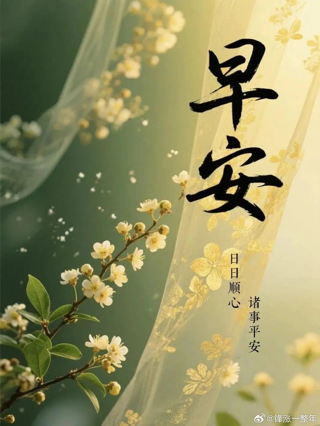 早安