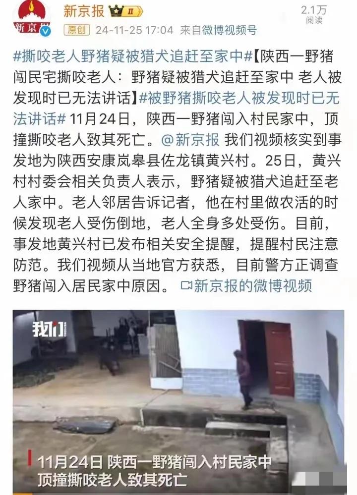 11月24日，一则骇人听闻的事件在网上曝光：陕西省安康市岚皋县一位老人在自家院内