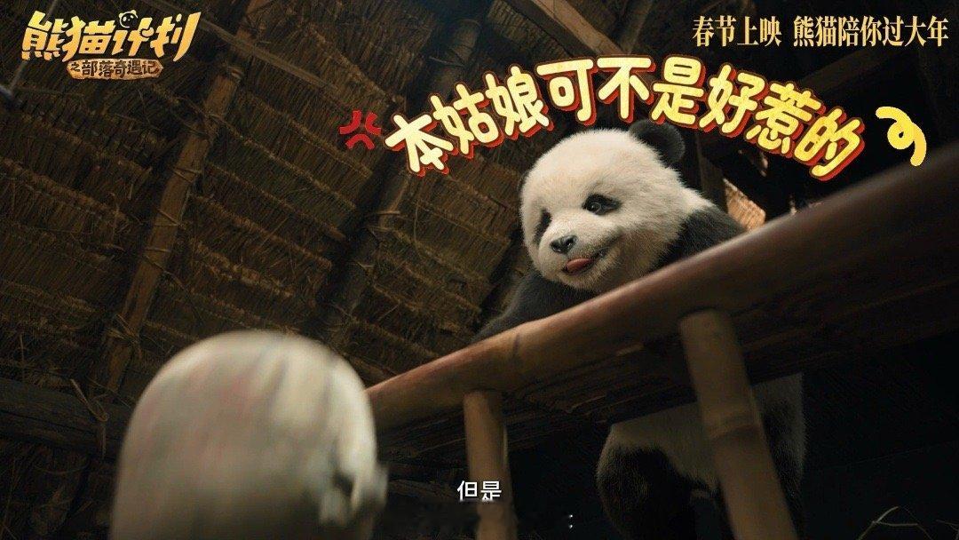 熊猫计划取景中国最后的原始部落中国最后的原始部落藏于秘境，少有人知晓，客流低迷亟