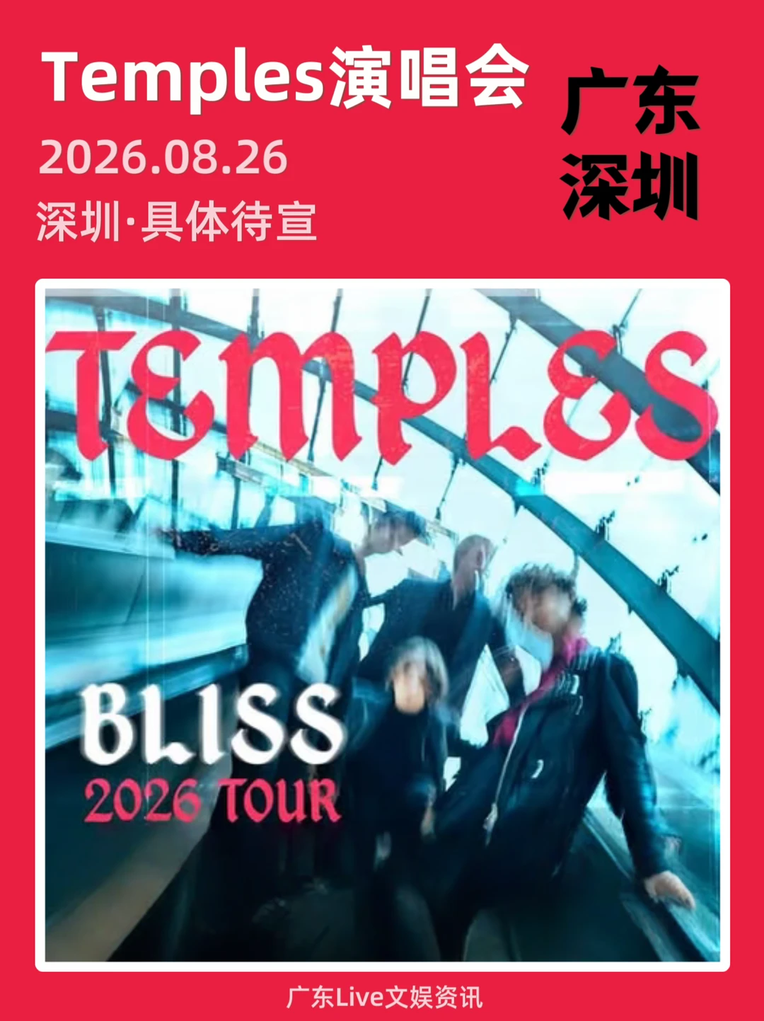 Temples深圳演唱会正式定档啦！🎉