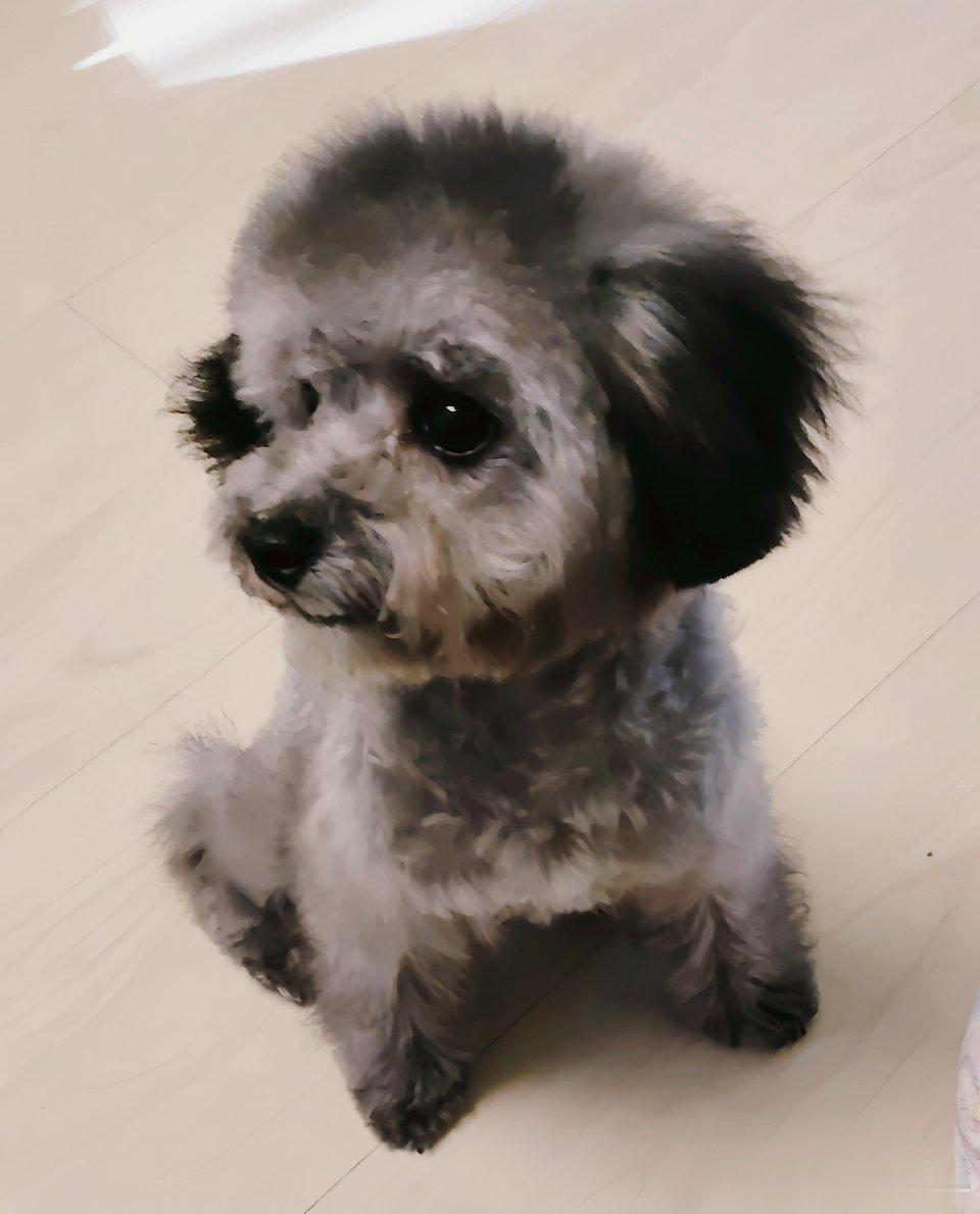 生活手记 做加餐我是认真的，谁让小芋泥这么人稀罕呢！猛子说我像在给二胎做辅食