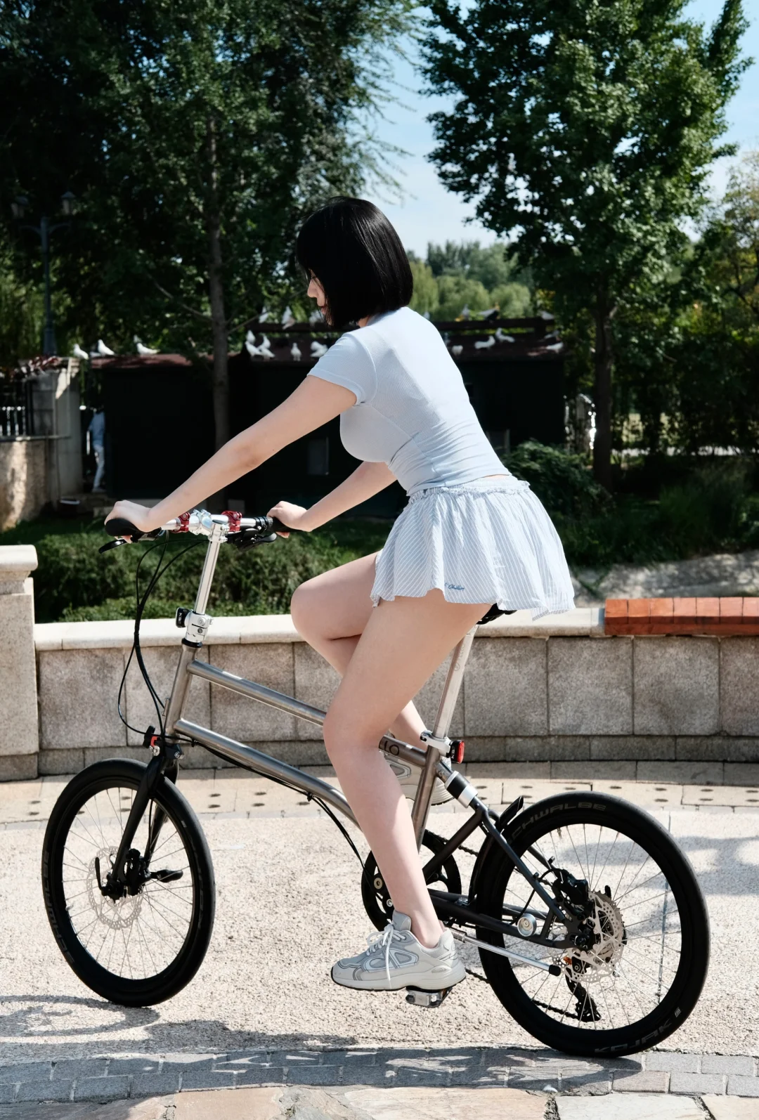 我的初秋新朋友