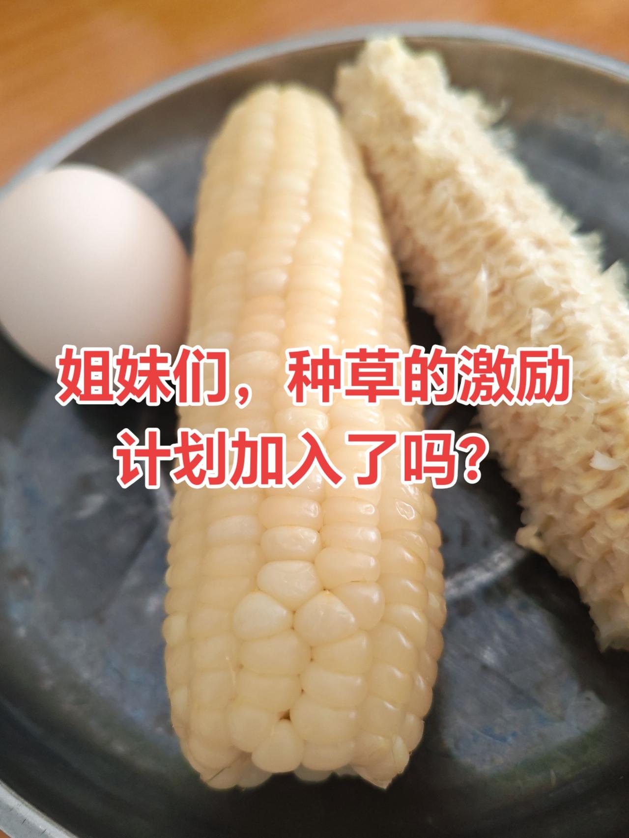 姐妹们，种草的激励计划加入了吗？在抖音上买的东西拍成视频发到抖音上，就可以加入种