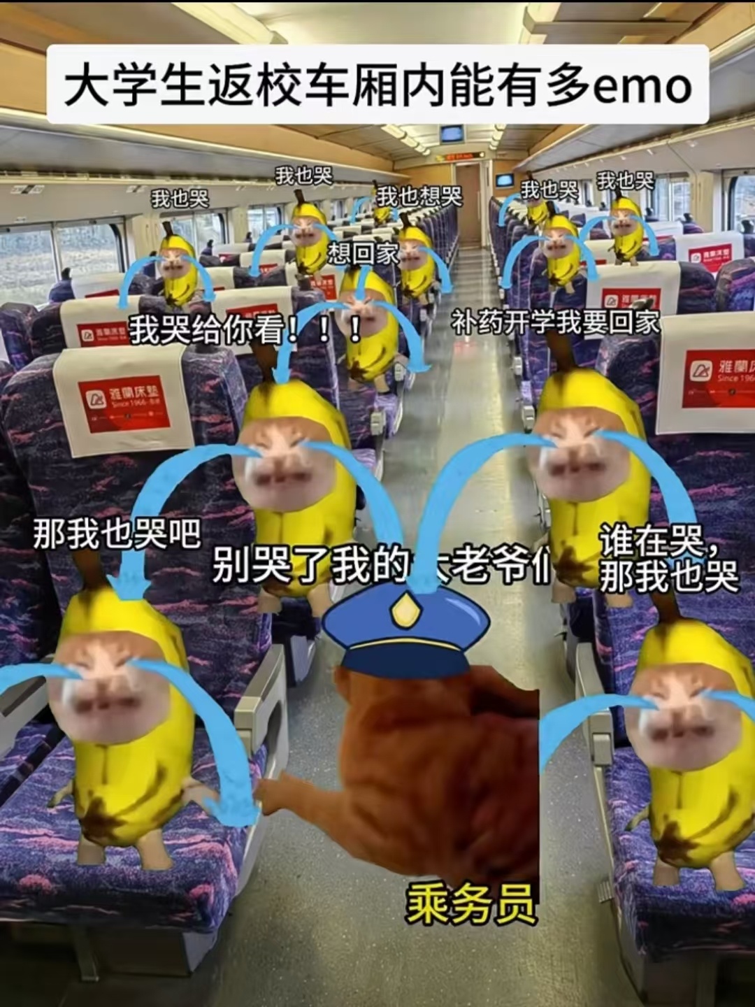 大学生返校车厢里能有多emo 