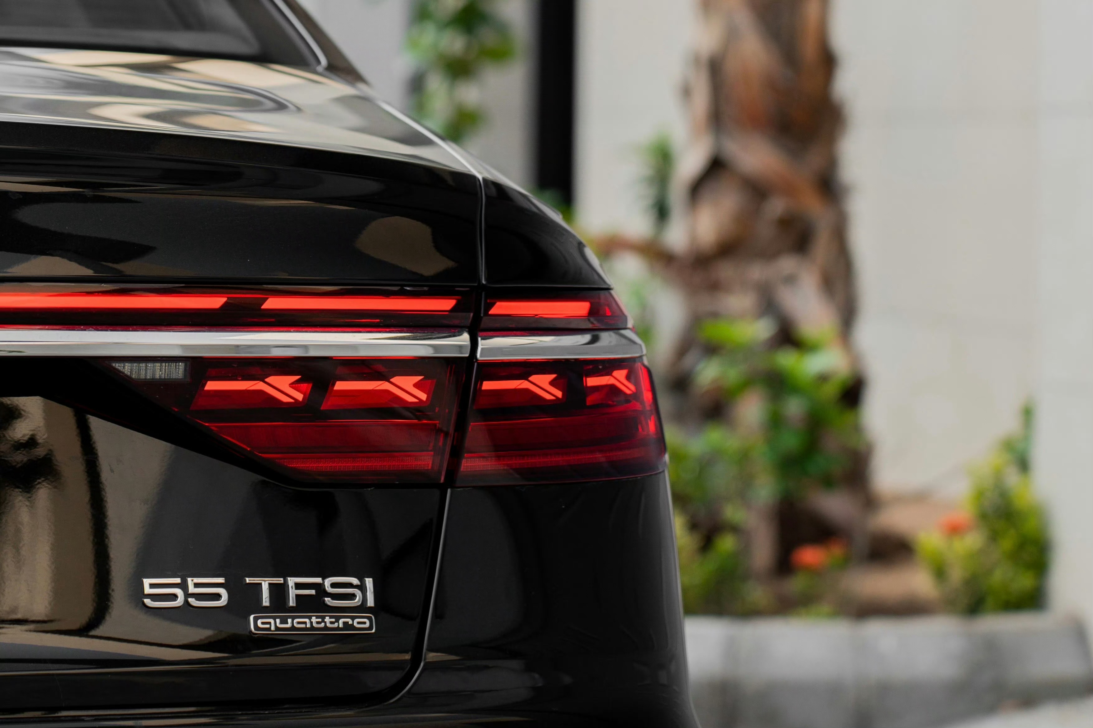 奥迪 A8L 55 TFSI quattro "Kingdom Edition"