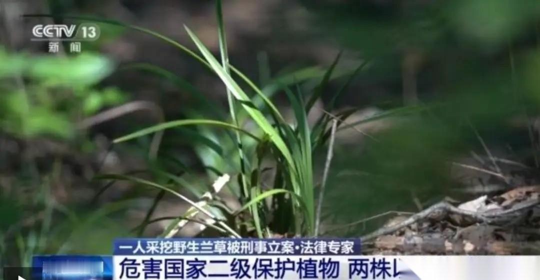 湖北襄阳这起案子，把无数人吓出一身冷汗——不是因为犯罪手段多恶劣，而是因为太容易