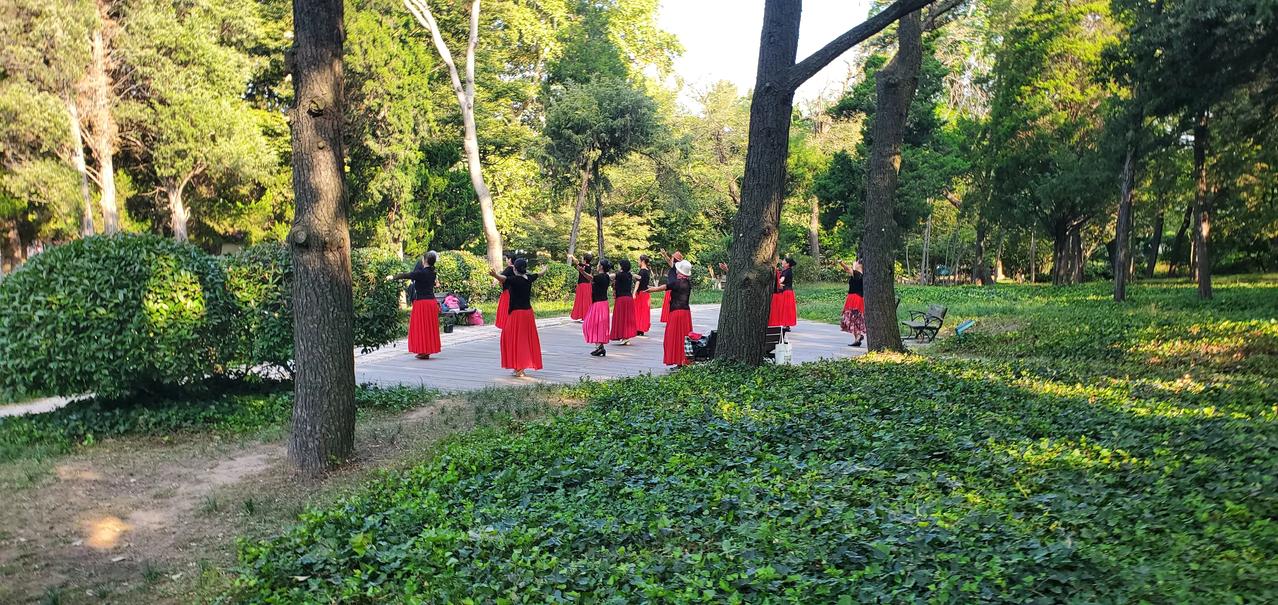 王铎：青岛中山公园里的舞蹈队
这是今天早晨的景象。
她们跳得非常舒服、舒心和舒展