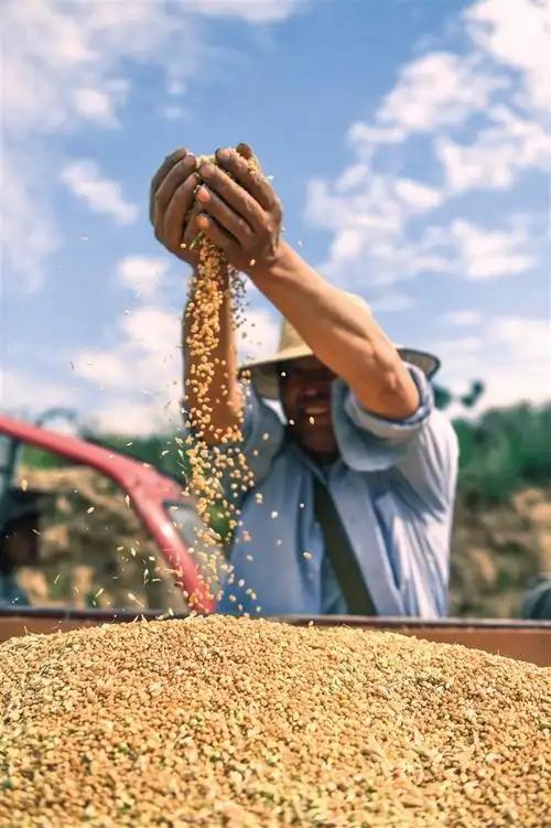 “饿死中国人？”美国大使竟然公开威胁中国：如果中国不按美国的意愿行事，不向西方低