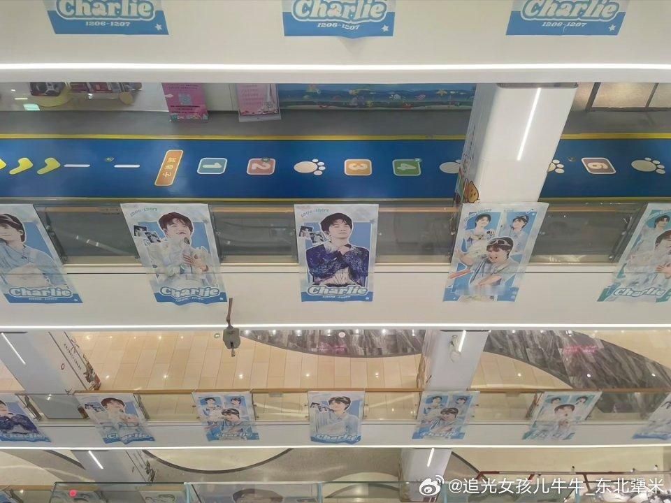 周深周深深圳演唱会周深2025深深的巡回演唱会 深圳龙岗天光城  痛楼 