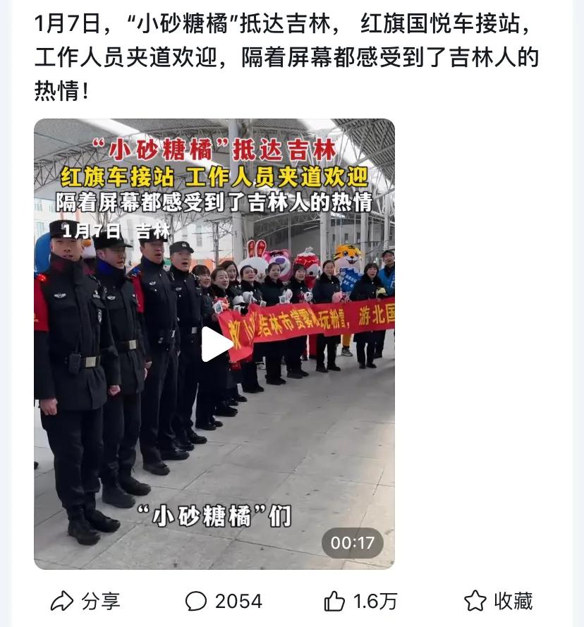 广西11只小砂糖橘不仅带火了砂糖橘同时也带动了旅游业#广西回赠砂糖橘# 萌萌可爱