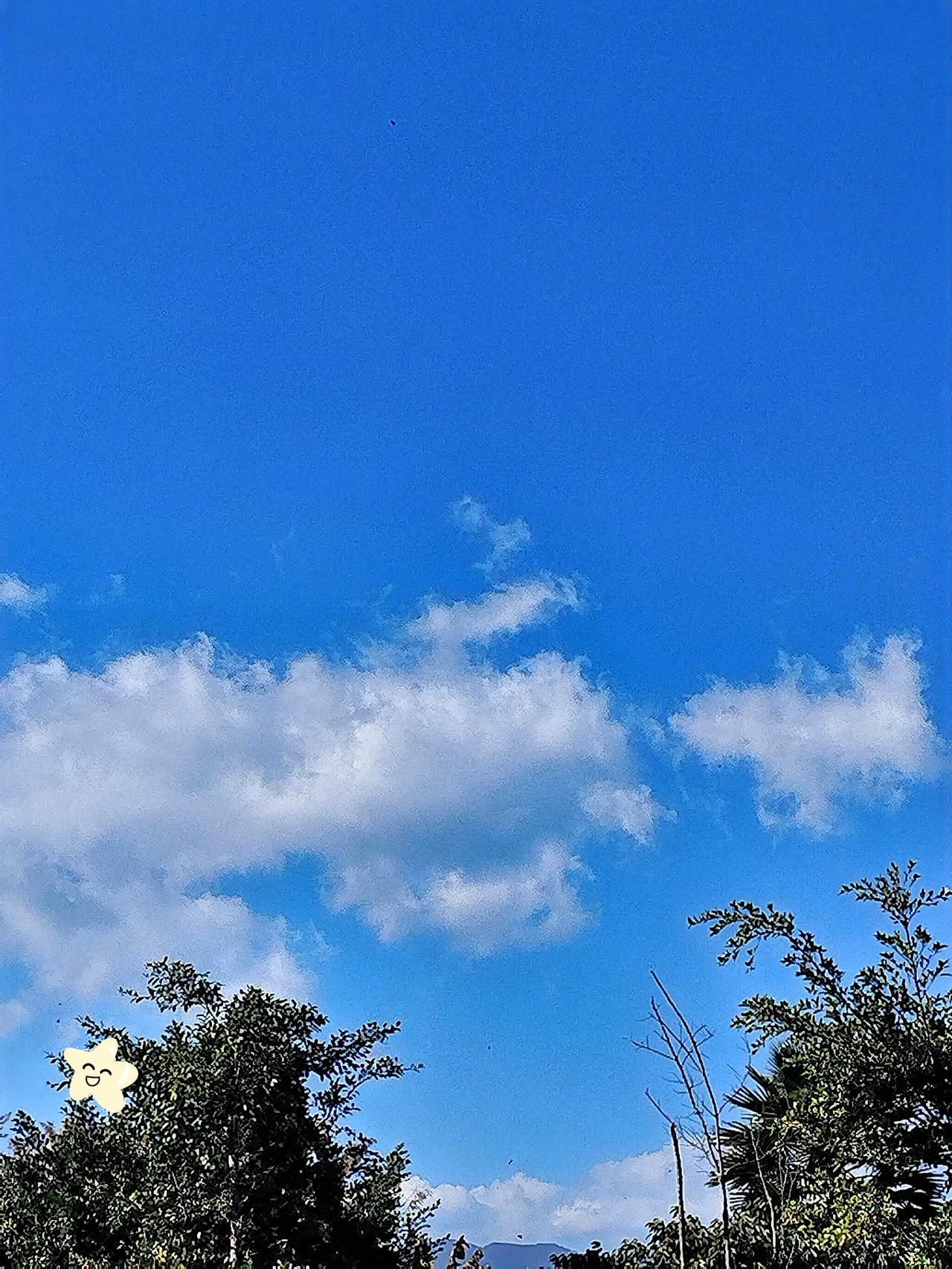 蓝天白云，微风拂面，心情舒畅！🌞🌳💙