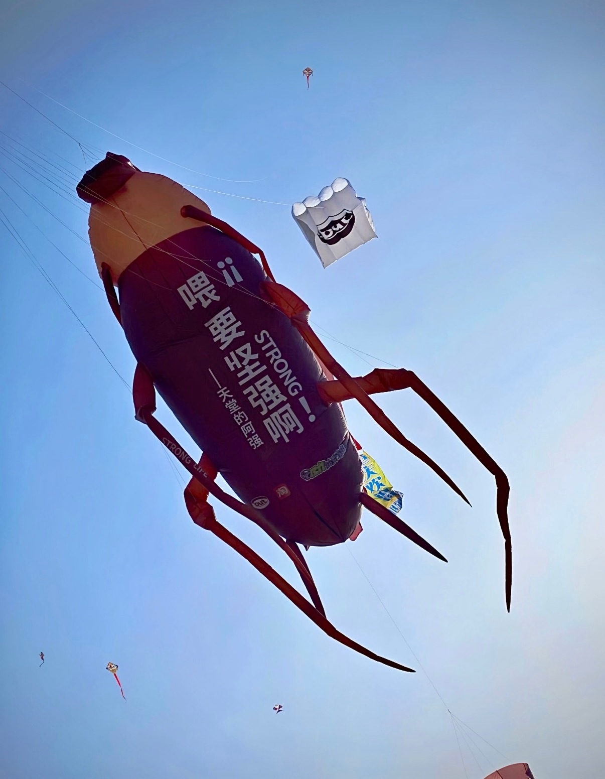 第一次见会搭讪的风筝第一次用社牛评价一个风筝🪁潍坊天空热闹非凡！这只黄色风筝全