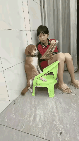 考试科目好枯燥！