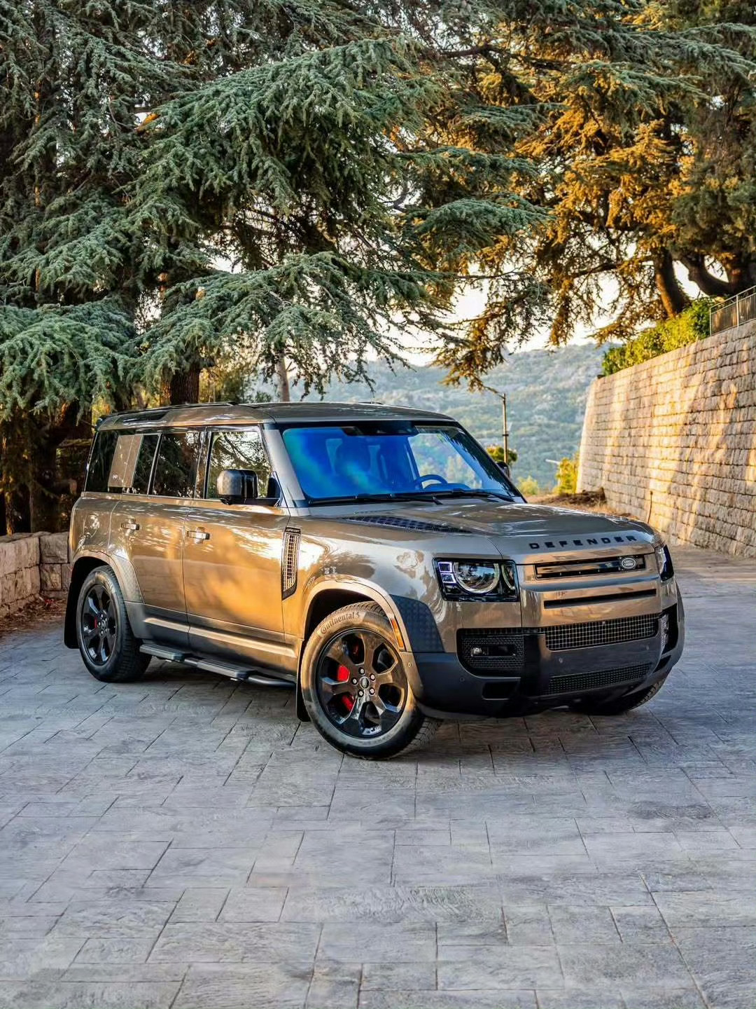 路虎 Defender 110 [色][色] ​​​