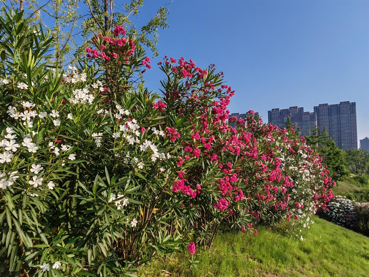 前燕皇帝慕容儁征召幽州刺史乙逸（乙，姓），当左光禄大夫。

乙逸接受命令，夫妇一