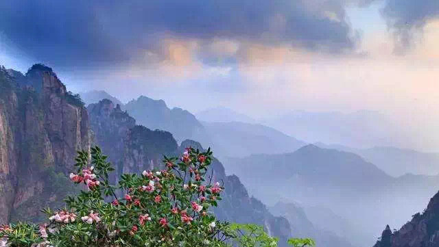 黄山的春天，才是你最不该错过的人间天堂！ 