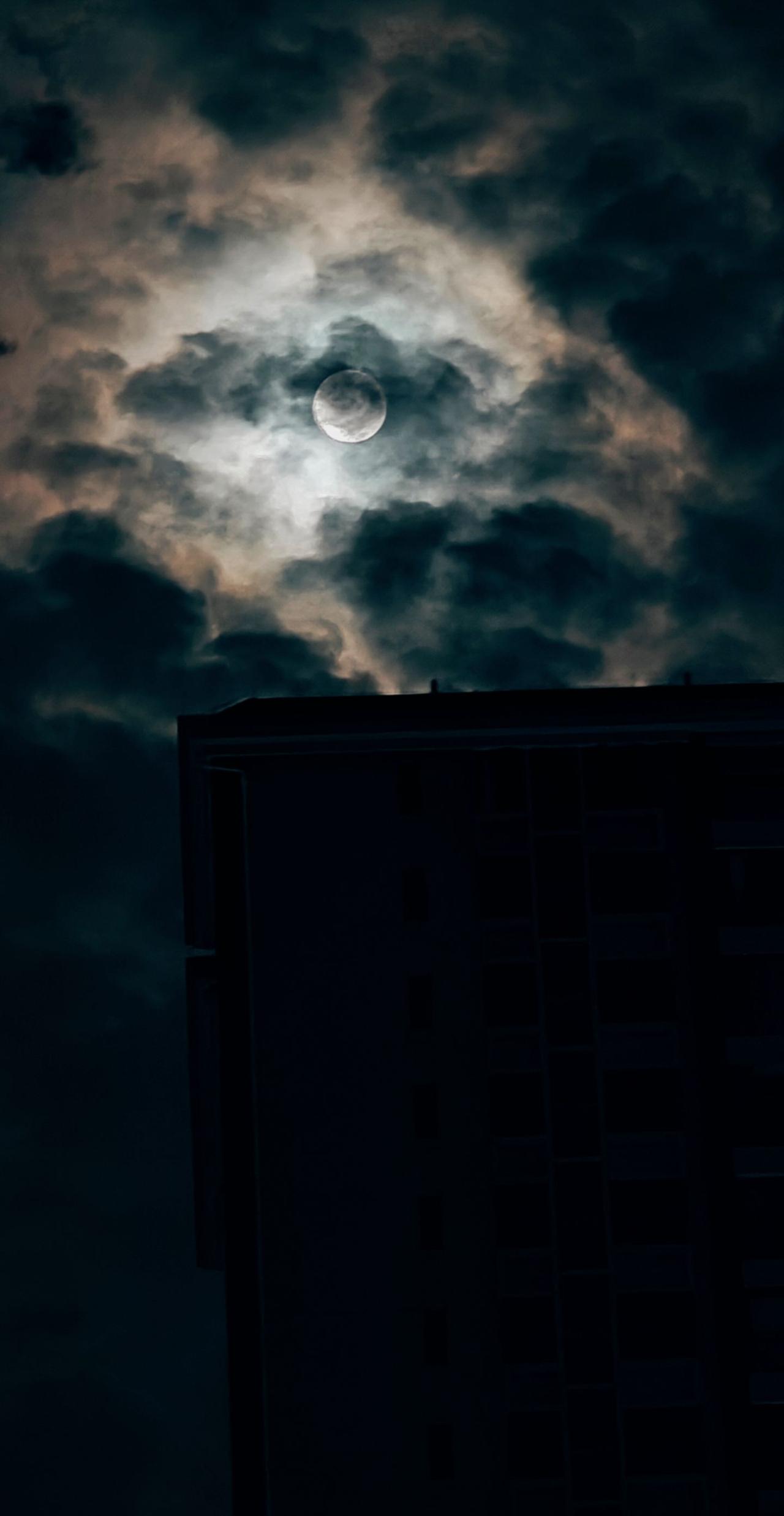 去搬砖#超级月亮 #每一帧都是热爱 #意境