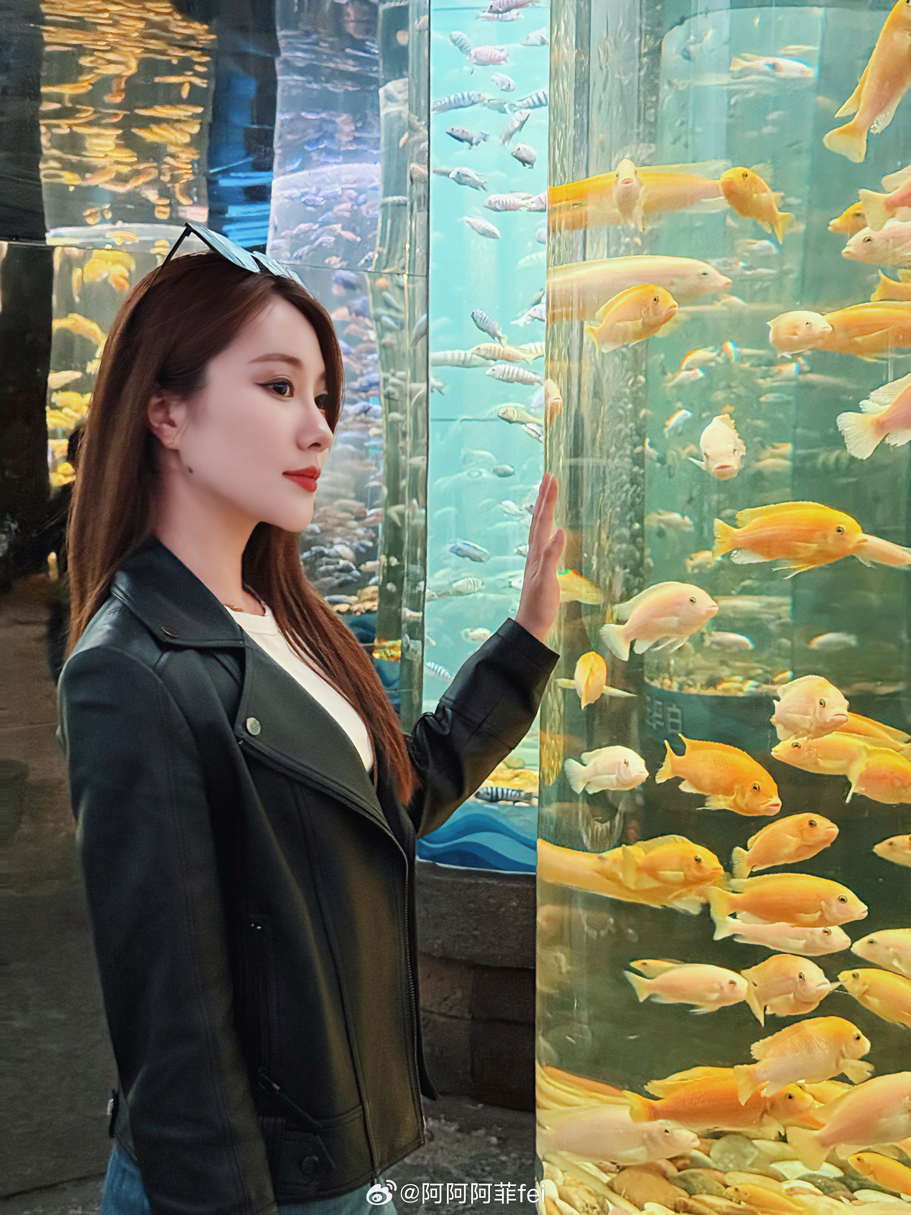 逛动物王国可太快乐了 新密·银基动物王国