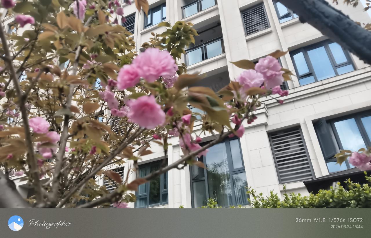 和平有望？
“大忽悠”今天凌晨煞有介事的告诉记者，他的特使维特科夫、女婿库什纳、