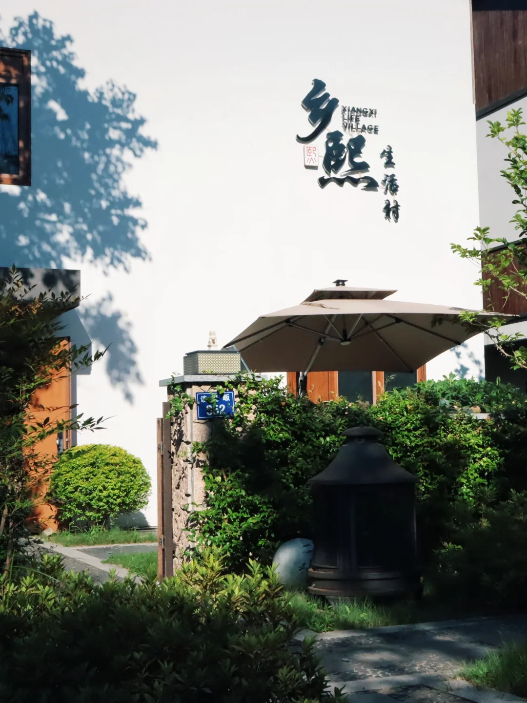 山野端午｜包粽、溯溪、摘杨梅，一站式治愈