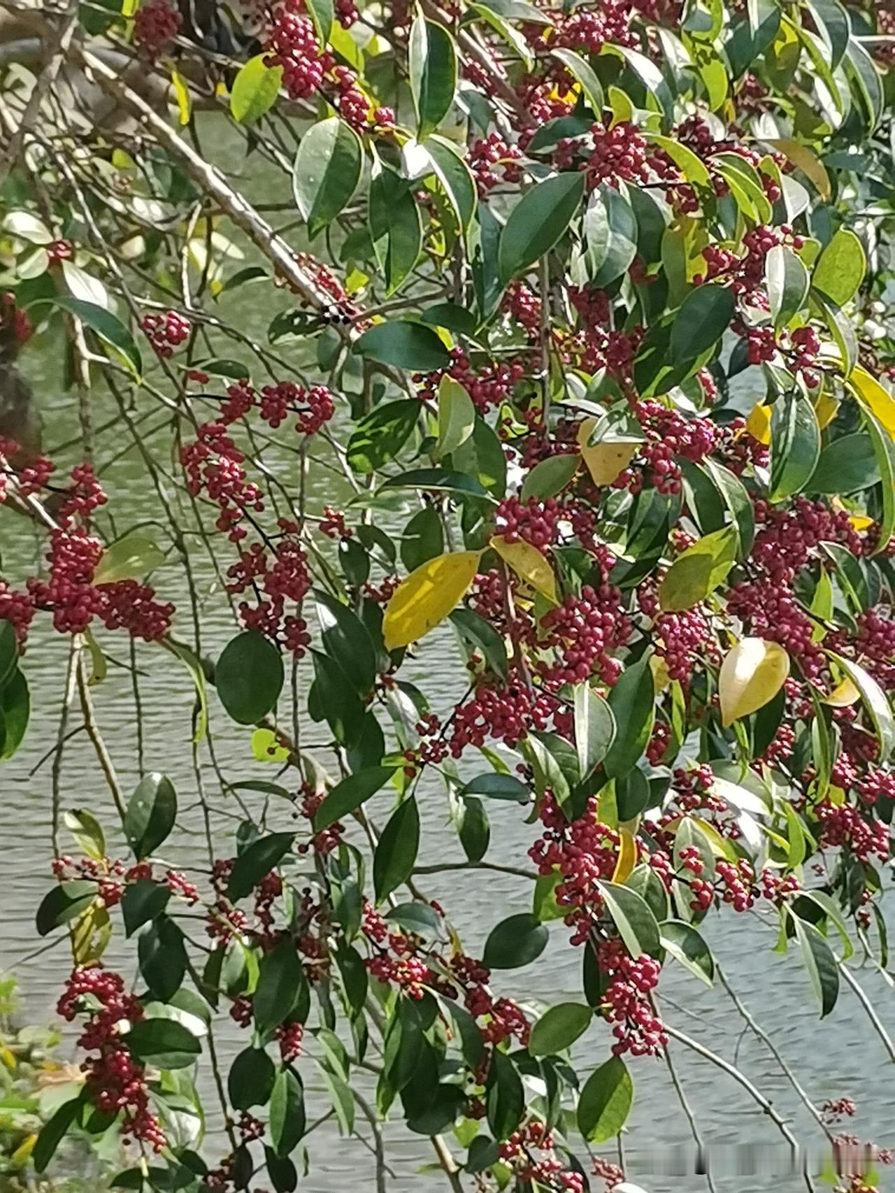邻居家的儿子从小就与众不同，非常叛逆，总是嫌弃家里穷，嫌弃父母赚不到大钱，邻居也