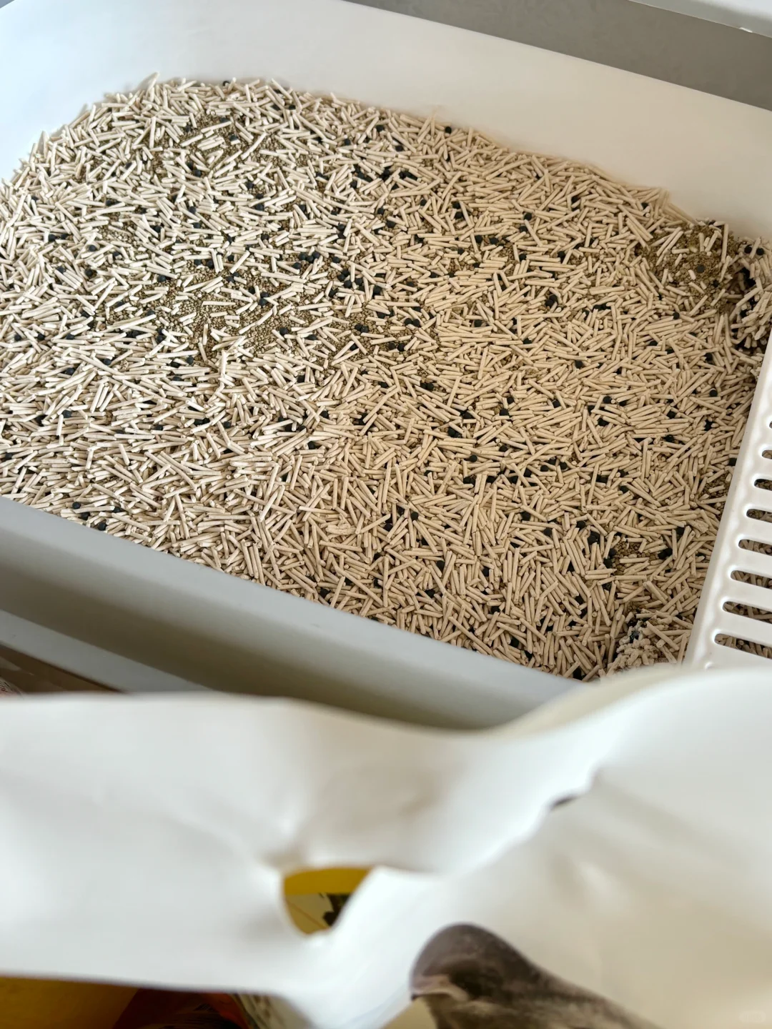 买了一次就回购的猫砂！！