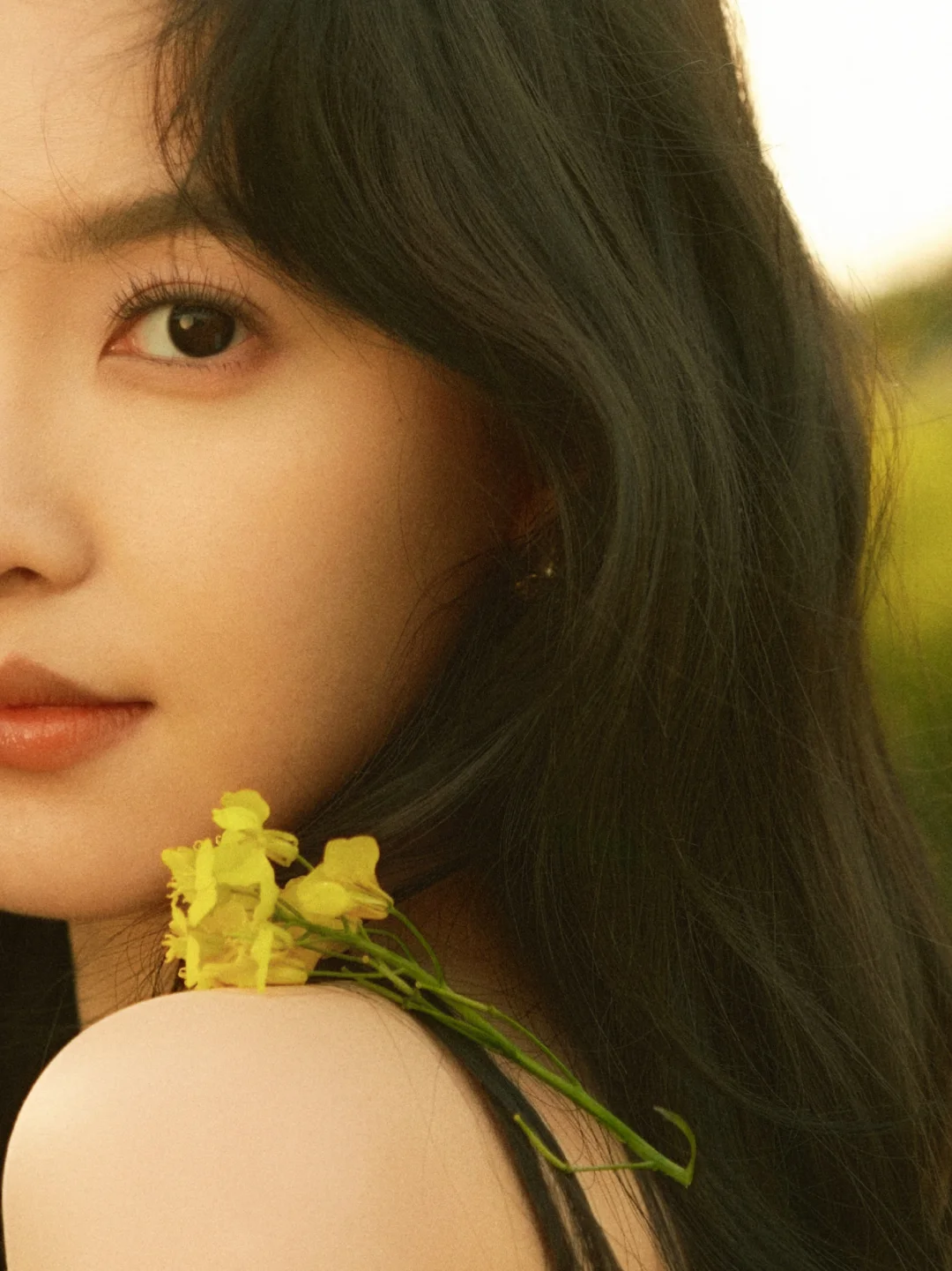 明星写真1626【章若楠】