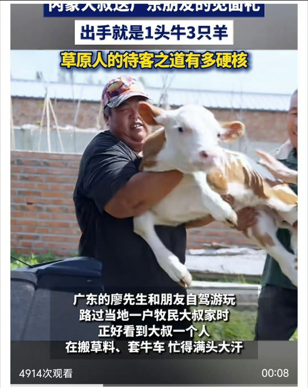 内蒙大叔见面礼出手就是1头牛3只羊 生活在内陆城市很难想象，待客拿出牛羊当礼物，