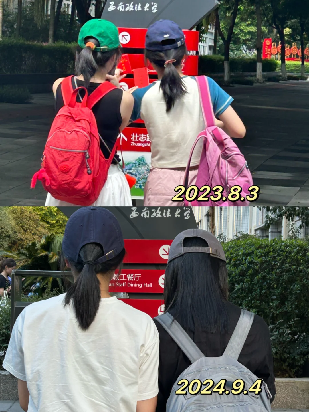 时隔一年，双胞胎都去西政啦