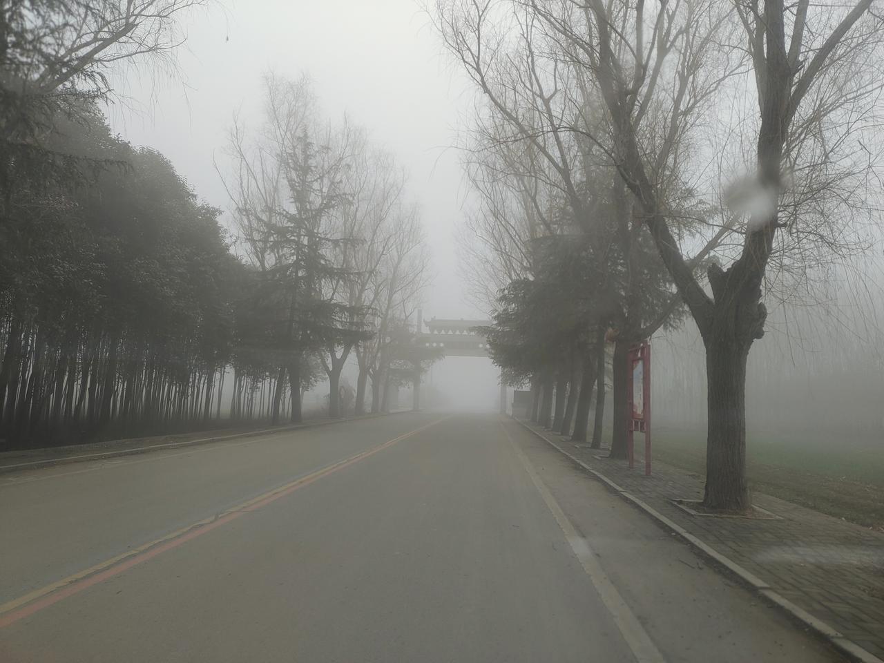 岁月慢慢过，
才懂日子不用太花哨。
不用羡慕别人的生活，
自己过得舒心就好，
家