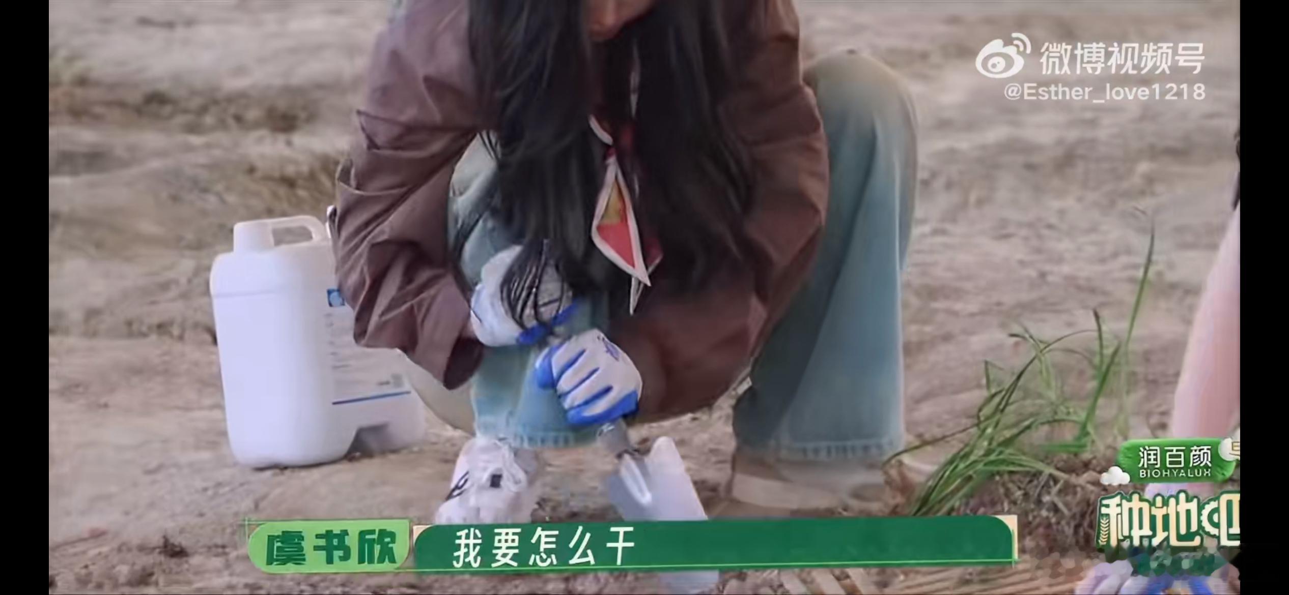 种地吧本周又有综艺可以看了，好期待虞书欣今年首次综艺，看了预告虞书欣有事真上，认