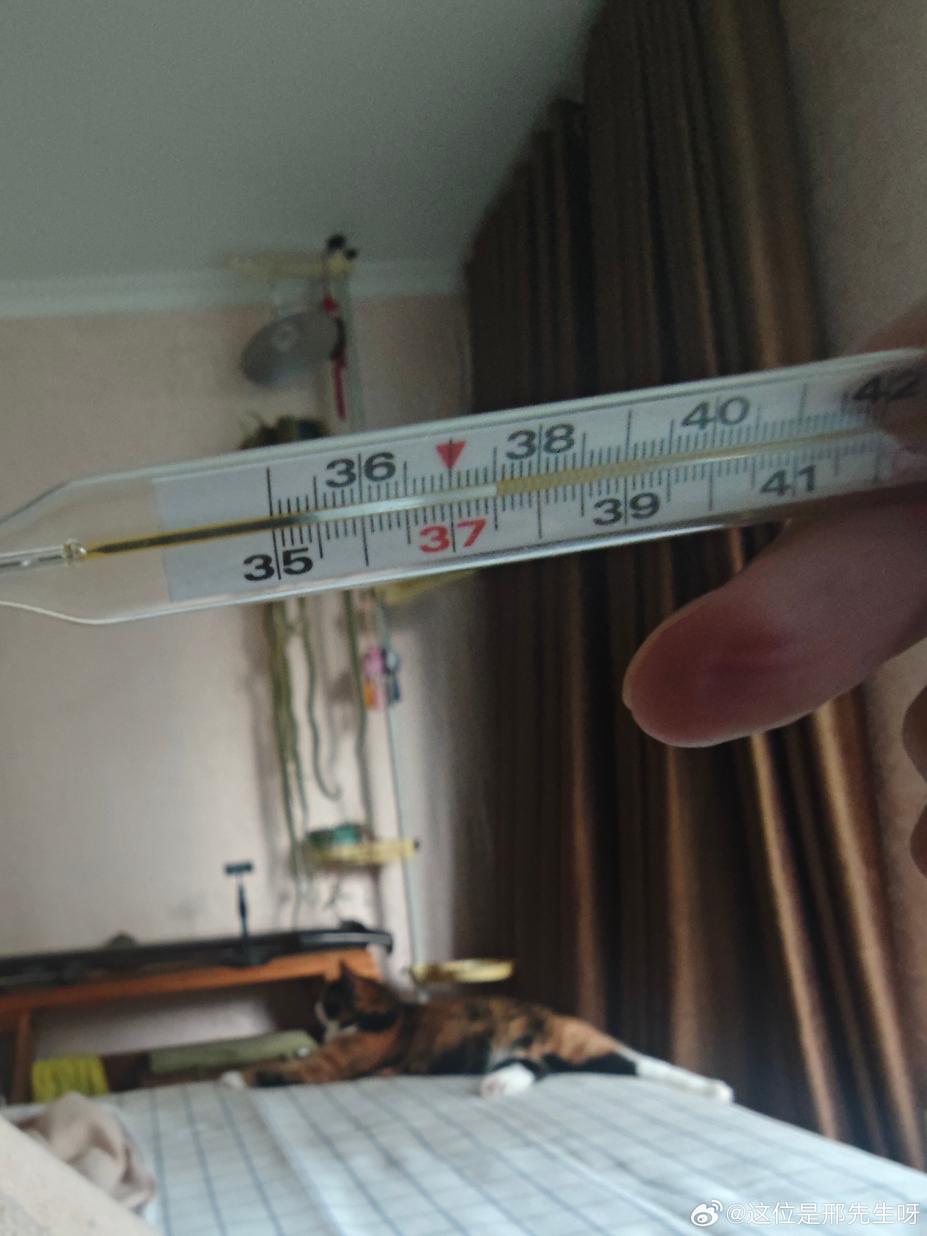 跟完转会最后一天后，我有点死了。。。。我真把CPU烧了。。[单身狗] ​​​