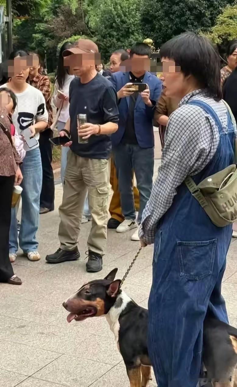 这次四川眉山的恶犬主人要摊上大事啦！
 
9月12日傍晚，正值双休日，在四川眉山