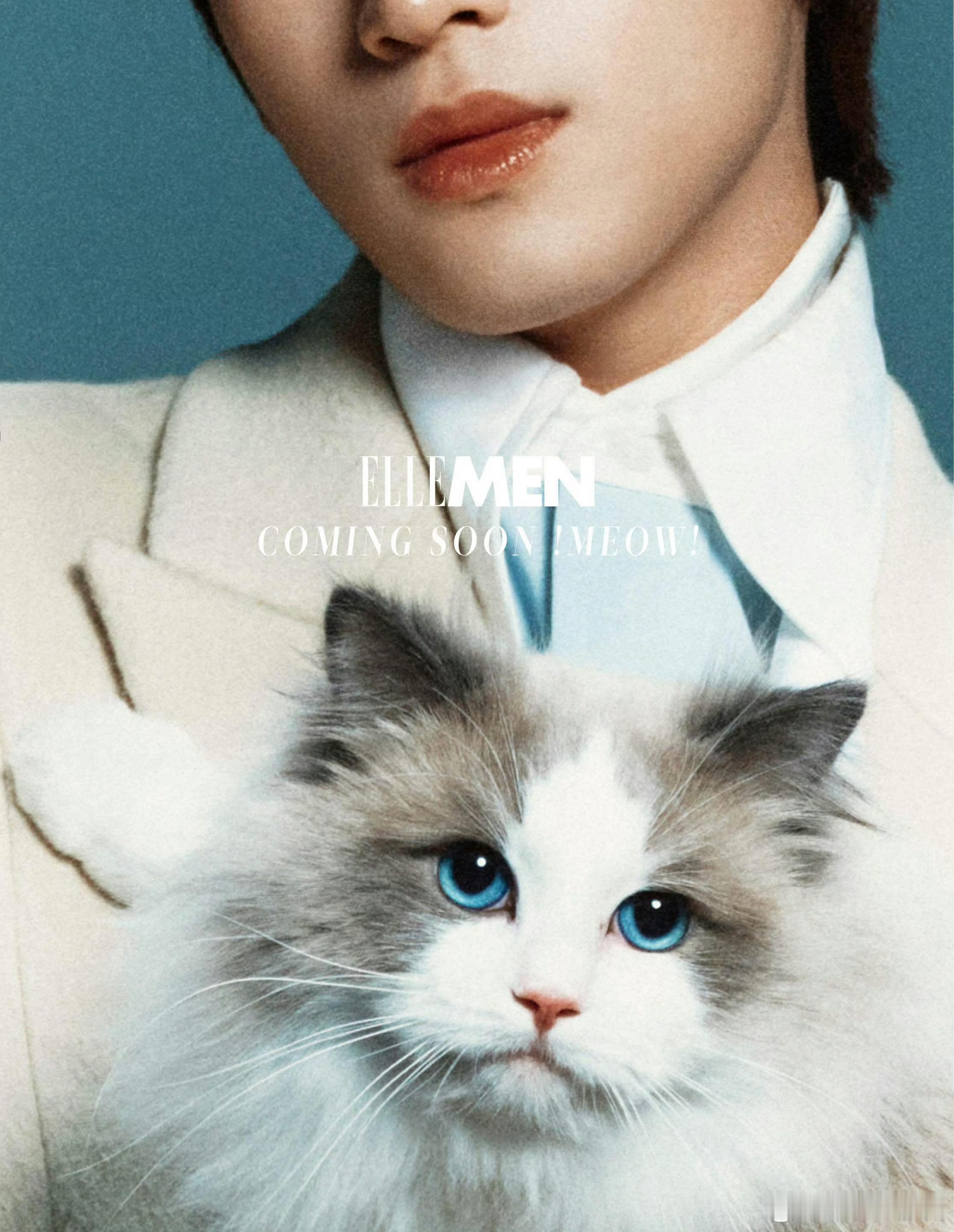 张康乐将登上《ELLEMEN》  新刊封面 ，预告片和这种漂亮的猫好搭，期待正片