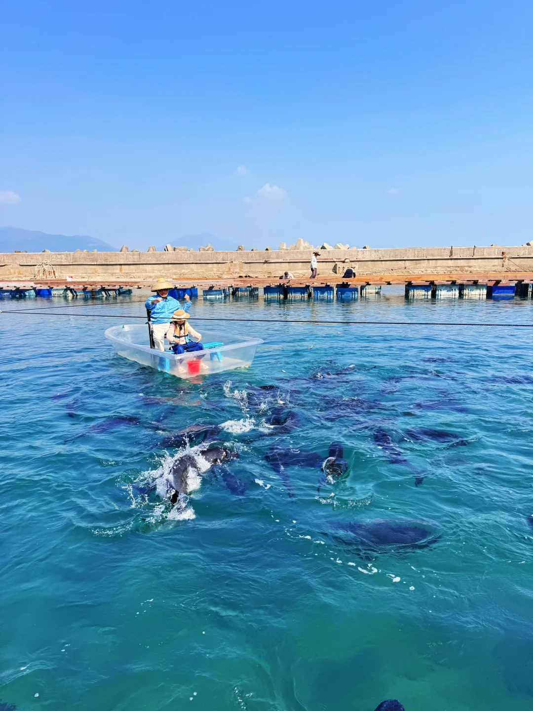 陵水旅行刚回，能劝一个是一个……真实感受‼️
