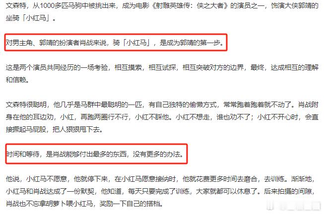 肖战能够付出最多的东西是时间和等待  骑小红马是肖战成为郭靖的第一步  肖战通过
