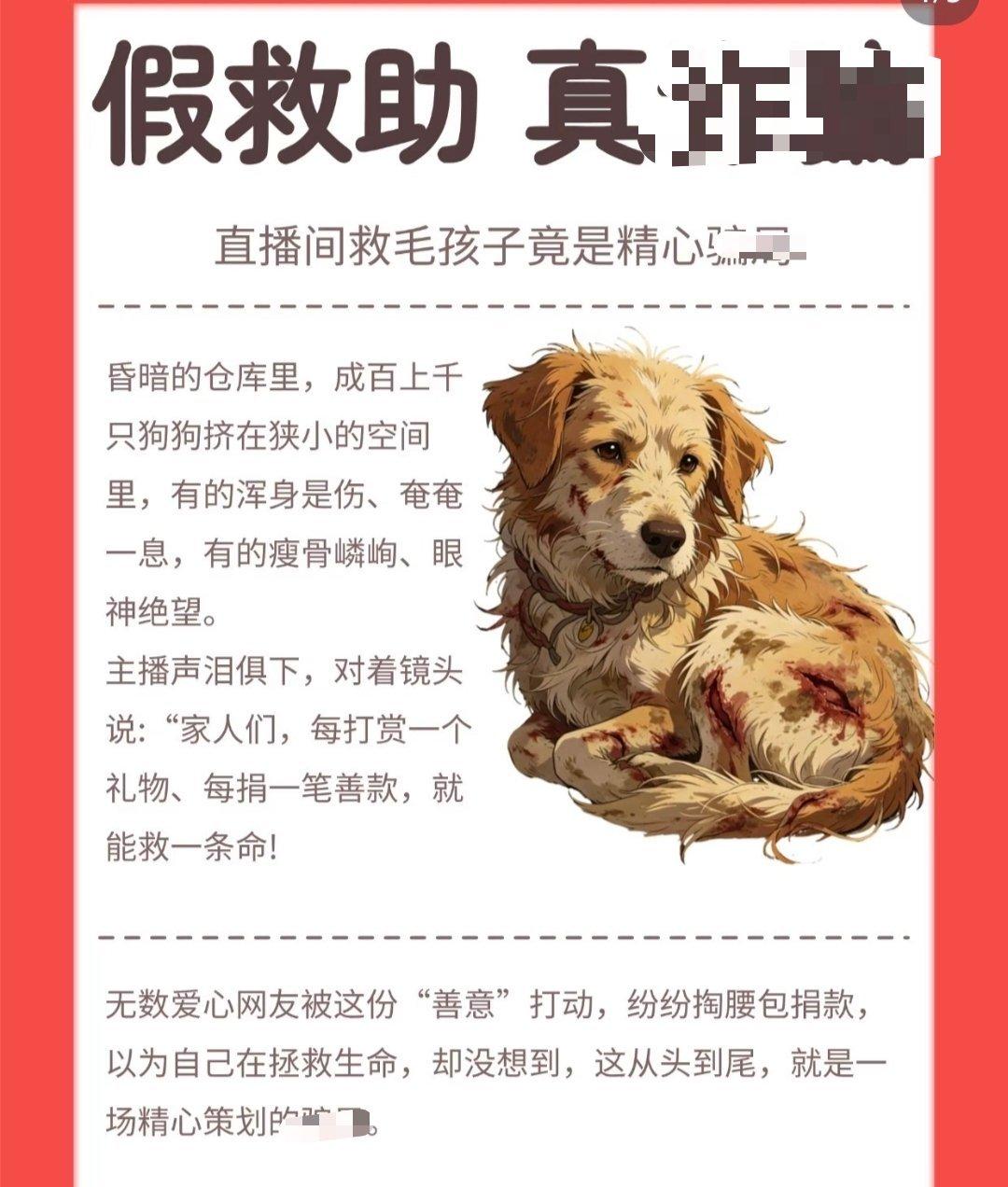 一犯罪团伙利用网络平台发布救助流浪猫狗的不实信息，2022年到2024年共骗了1