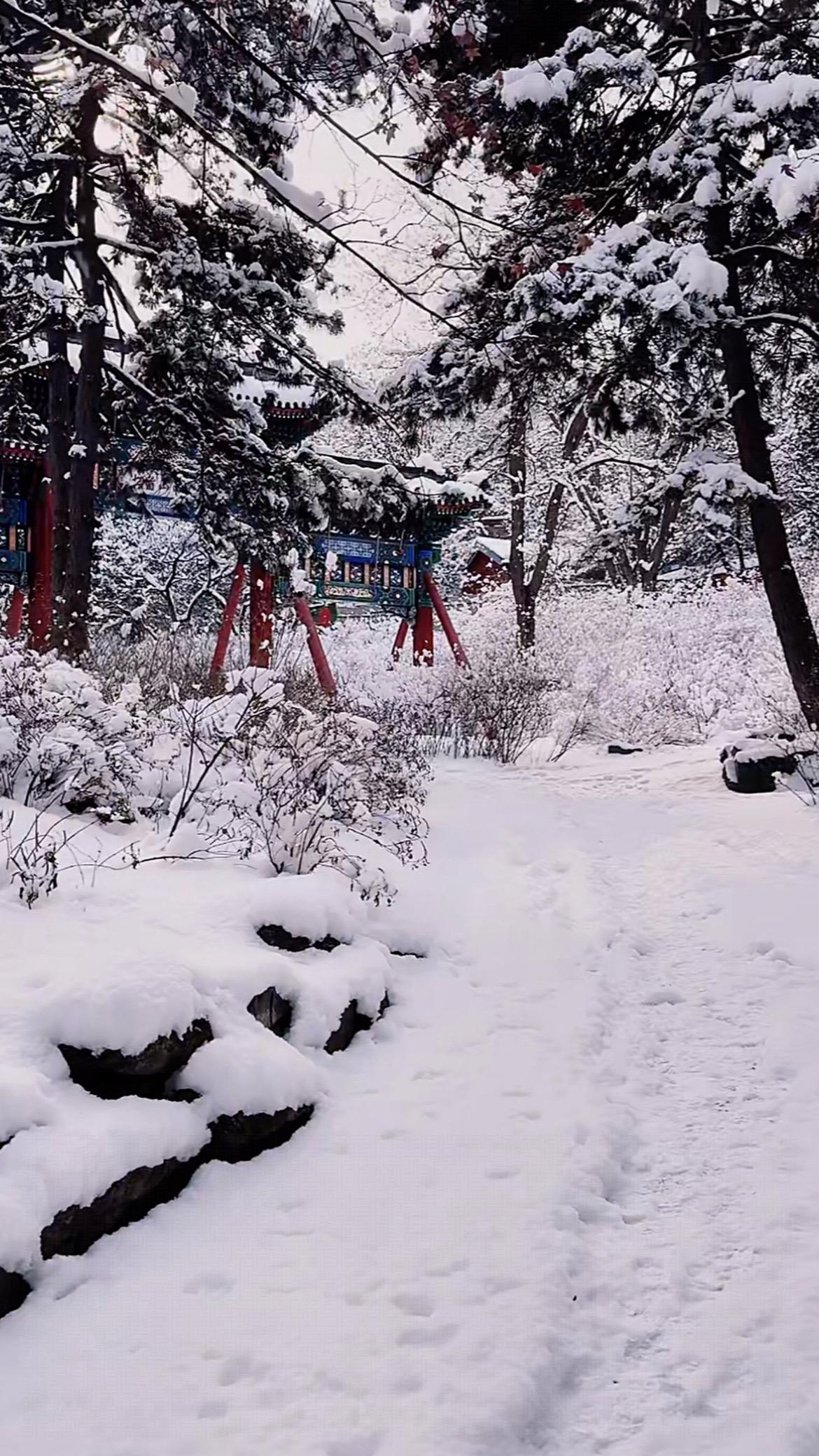 2026年北京的第一场雪第一场雪 雪 北京