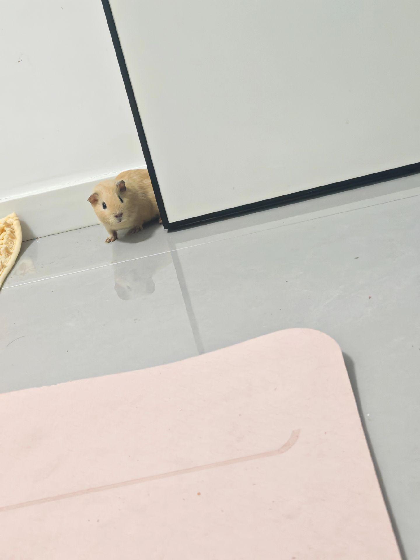 此账号让我的4个小宝继承了