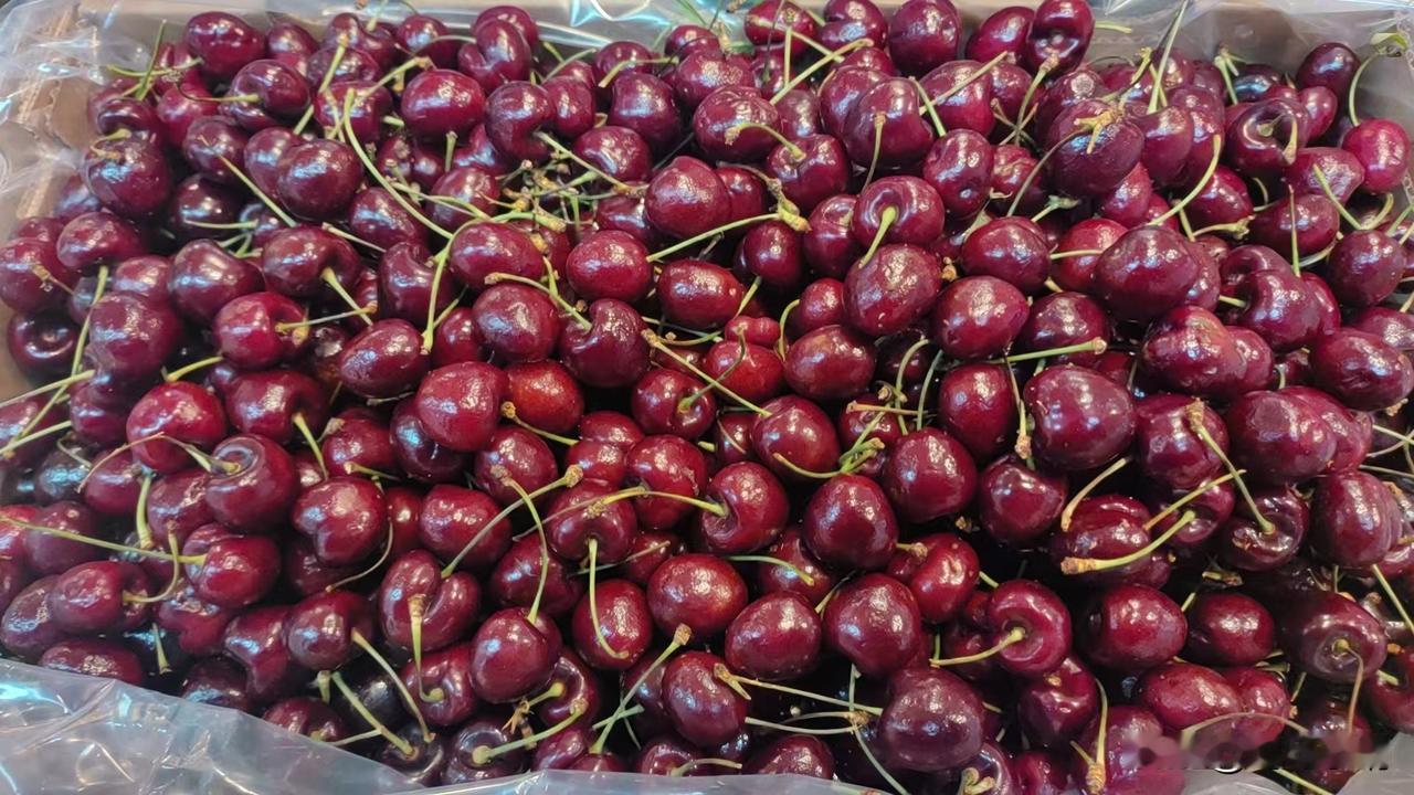 冬日生活打卡季