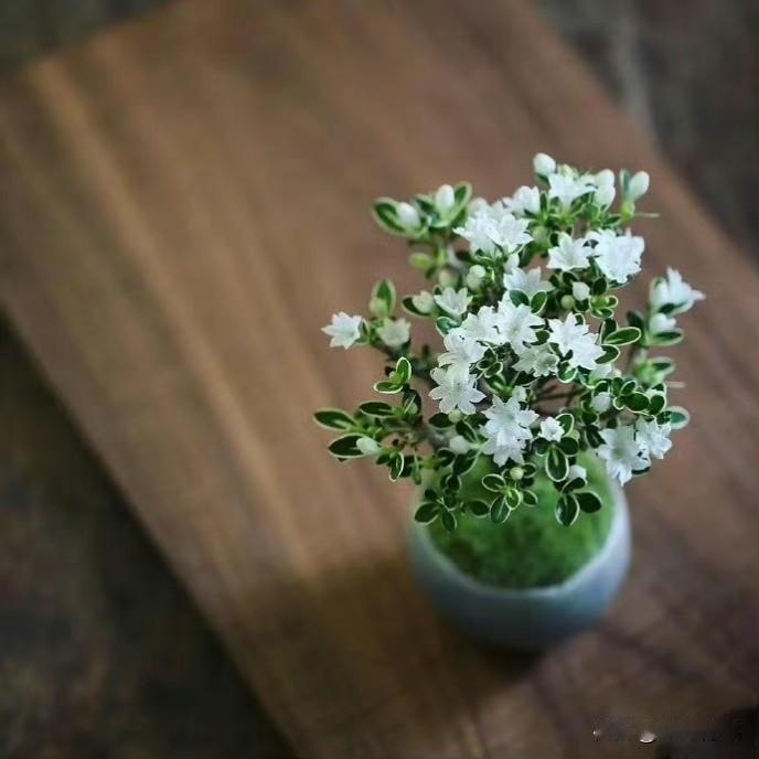 有个老太太长期在小区内买菜，有一天在小区里正行走售卖时，突然自己就摔倒了，摔倒时