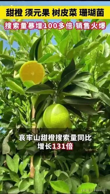 生活在广东的我，原本不知道哀牢山的。但是最近哀牢山的特产走红了，因此我也去了解下